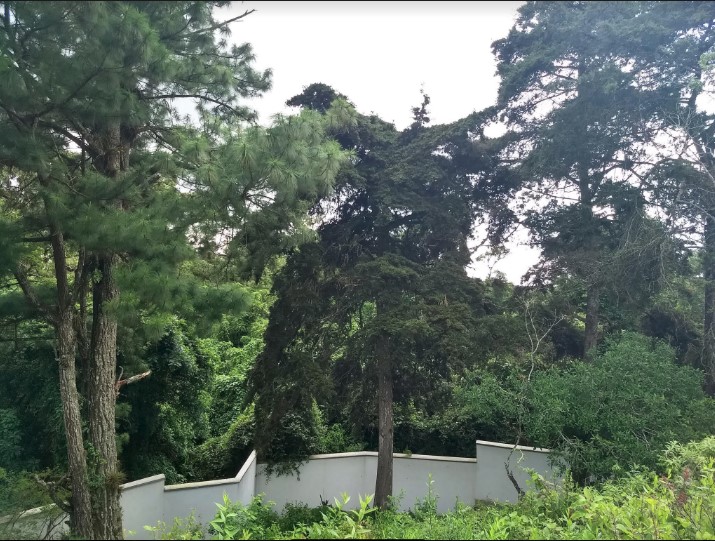 Terreno en Lomas de San Isidro