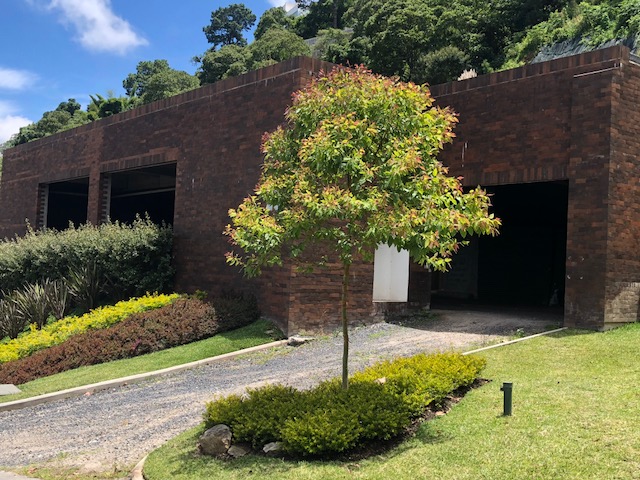 Terreno en Venta Casco San Rafael