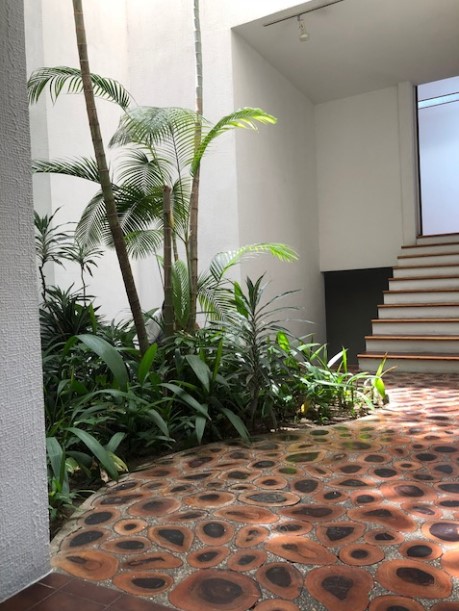 CASA EN RENTA CERCA DE LA NORIA ZONA 14