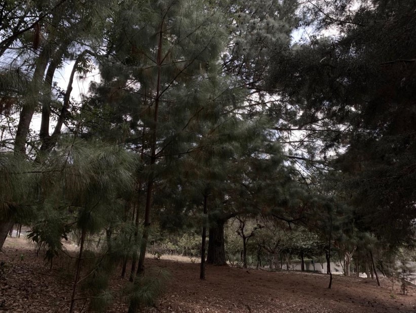 Terreno en venta en las Tinajas