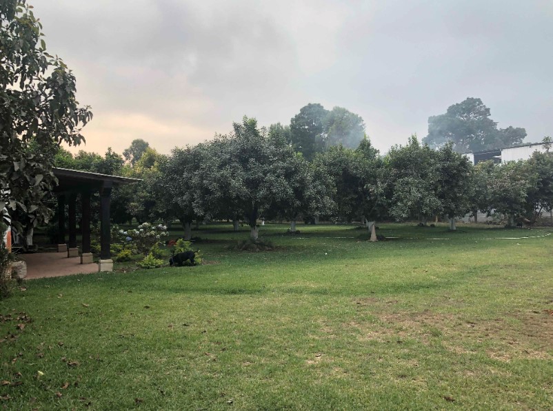 Terreno en alquiler