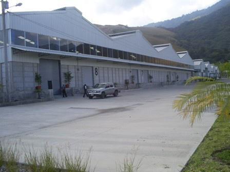 Bodega en alquiler Comercial las Palmas