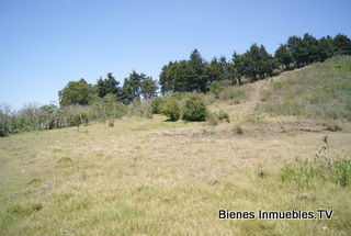 TERRENO PARA DESARROLLO DE VIVIENDA
