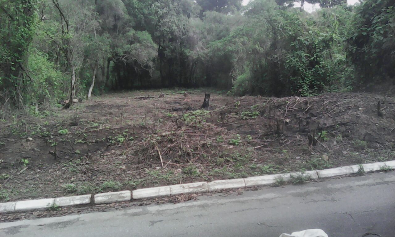 TERRENO EN VENTA ENTRADA OLMECA