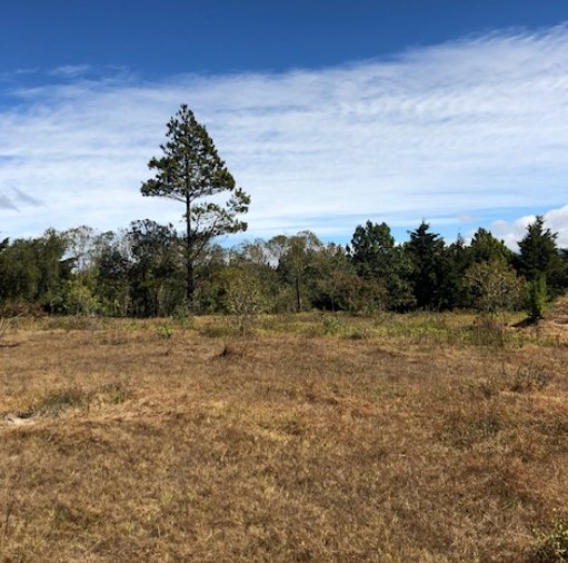 Terreno en Venta en Fraijanes