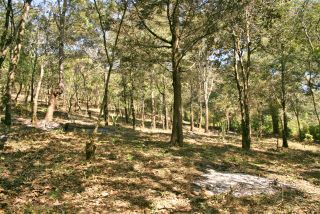 Terreno de 17,055 vrs2 en Choacorral San Lucas