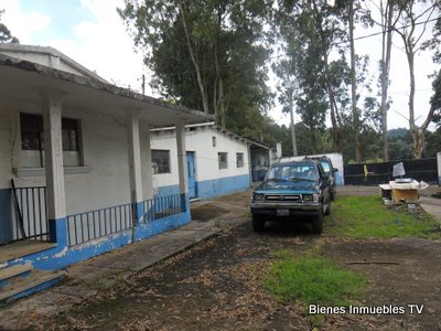 Granja | Venta | San jose Pinula