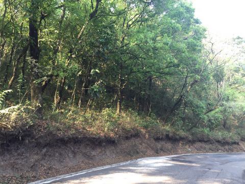 TERRENO EN VENTA CERCA DE BELLAS LUCES