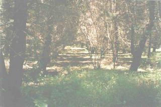 Terreno en venta en Premier Campestre, km 22 Carretera a El Salvador